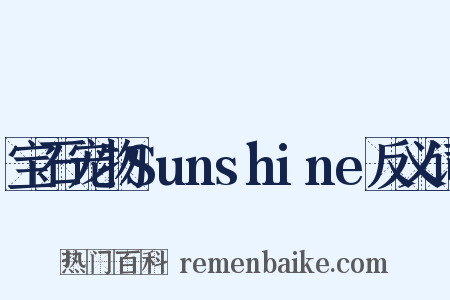 宝石宠物Sunshine反义词是什么意思的图片